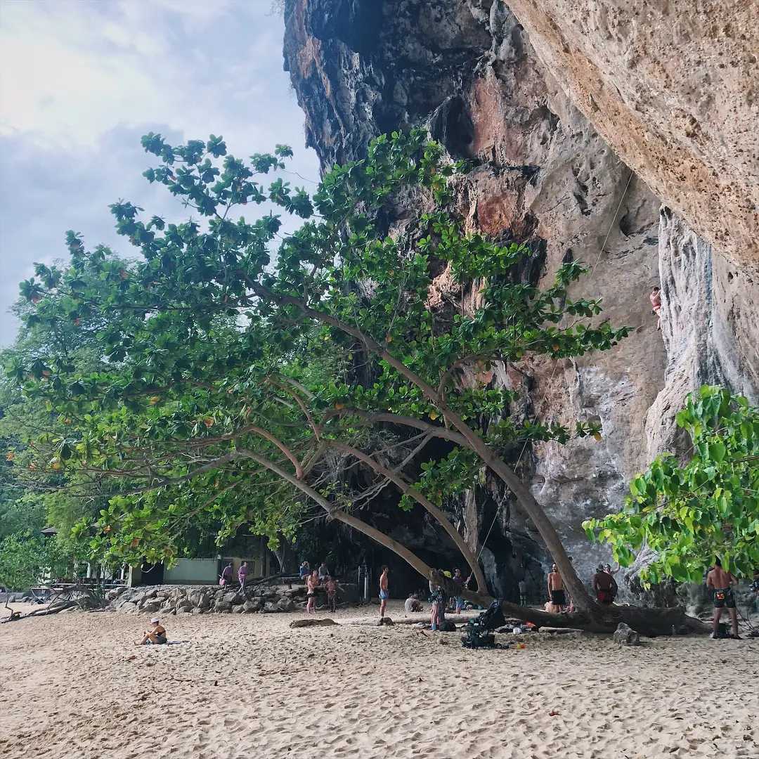 Krabi-Say goodbye to Phuket, Krabi has all the niche islands you want