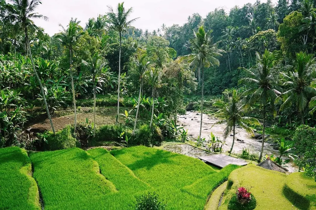 Bali-In Bali, I plant rice, surf, go to the SPA, and sleep until I wake up naturally every day.