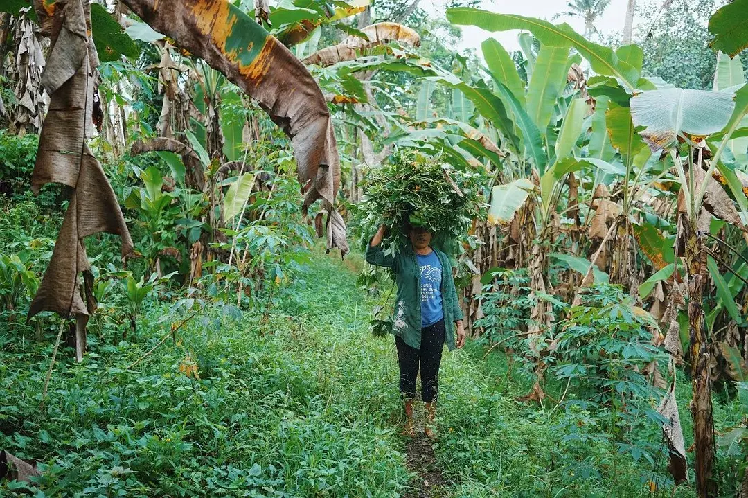 Bali-In Bali, I plant rice, surf, go to the SPA, and sleep until I wake up naturally every day.