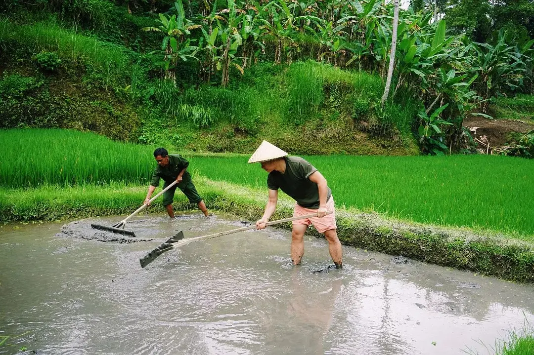 Bali-In Bali, I plant rice, surf, go to the SPA, and sleep until I wake up naturally every day.