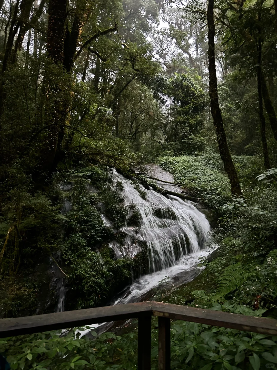 ChiangMai-Dantewada Land of angles Waterfall Park & Phra Maha Dhatu Nabhamethanidol and Nabhapolbhumisiri