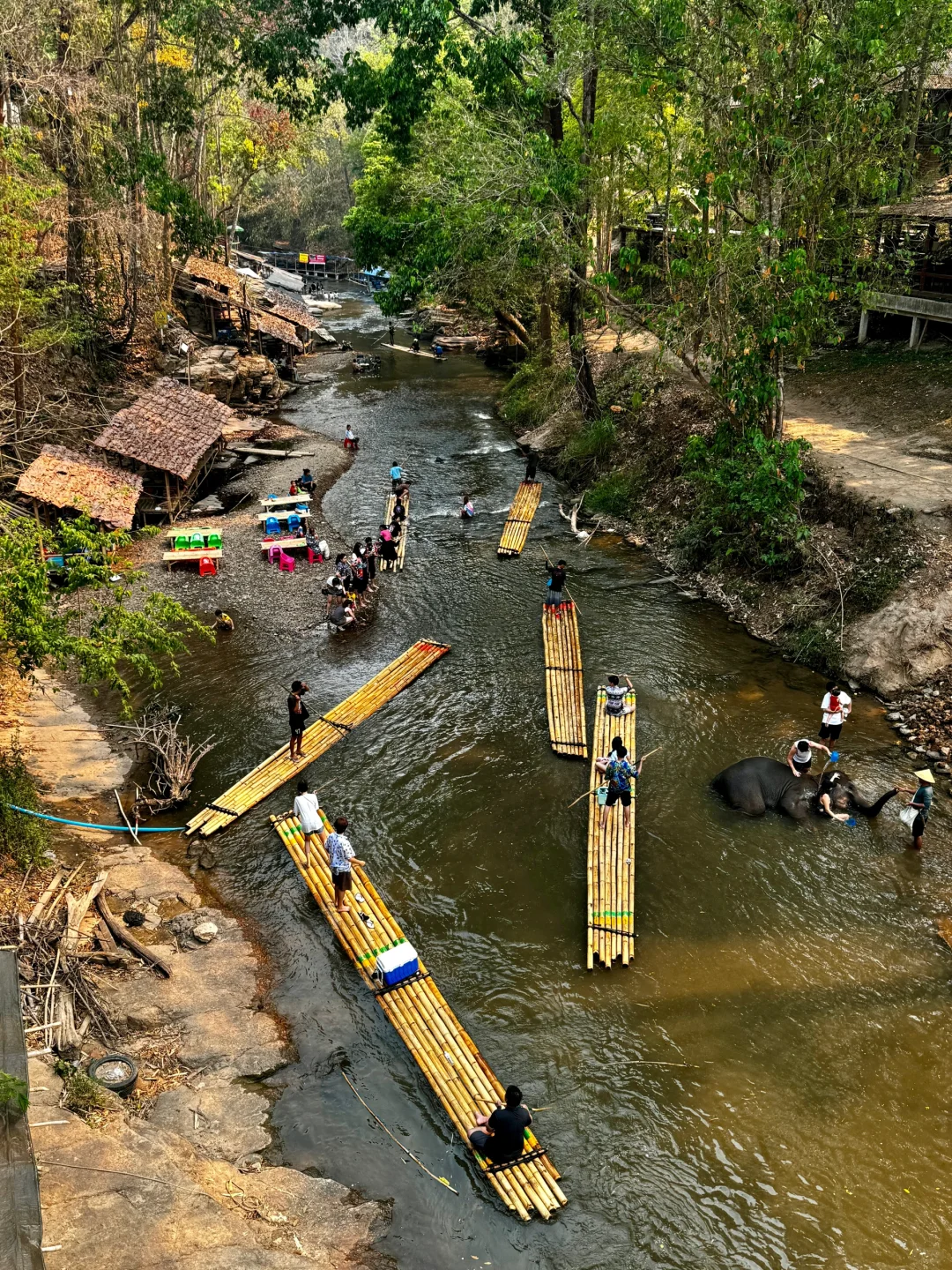 ChiangMai-How to enjoy the Elephant Camp and Bamboo Rafting in Chiang Mai? This is enough