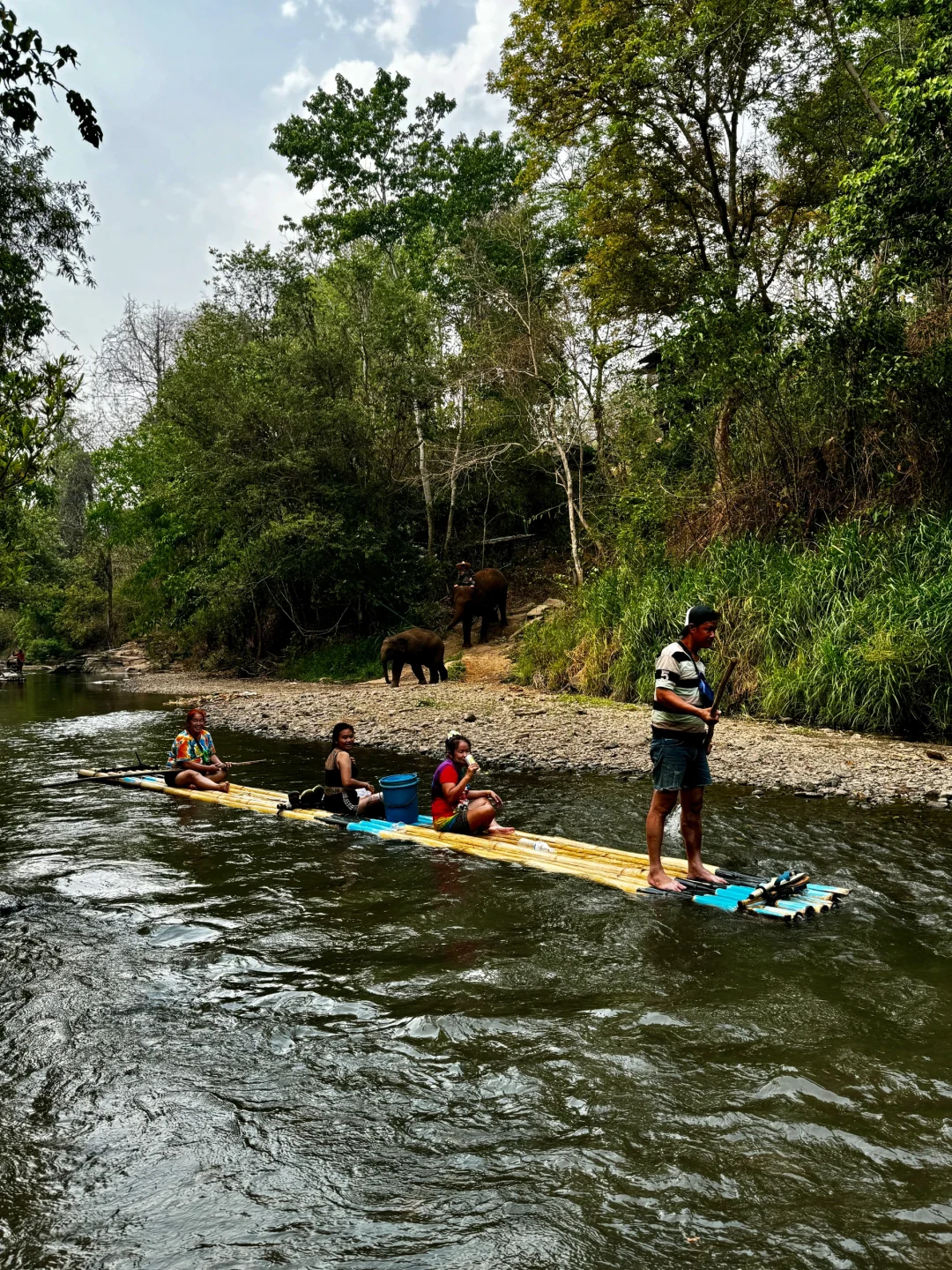 ChiangMai-How to enjoy the Elephant Camp and Bamboo Rafting in Chiang Mai? This is enough