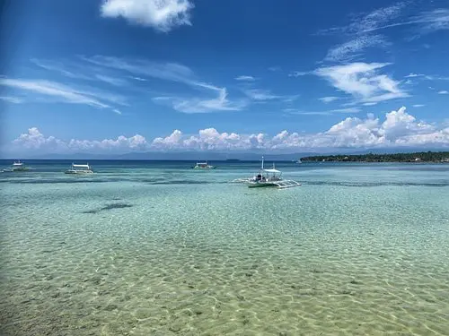 Cebu-Chase the seascape of Cebu, Philippines, kawasan fall, Ravenala white beach, sardine schools, turtle bay, glass sea