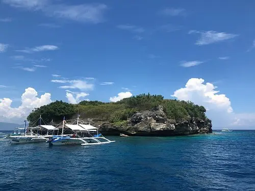 Cebu-Chase the seascape of Cebu, Philippines, kawasan fall, Ravenala white beach, sardine schools, turtle bay, glass sea