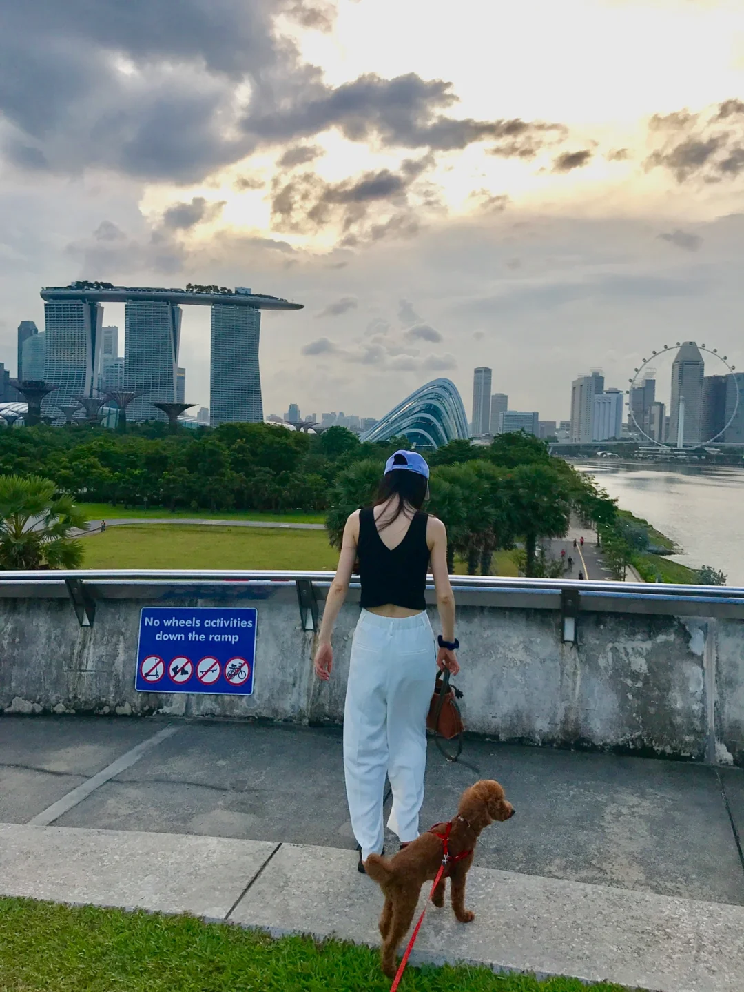 Singapore-The best walking route to see the Sands Ferris Wheel, Bay East Garden—Marina Barrage