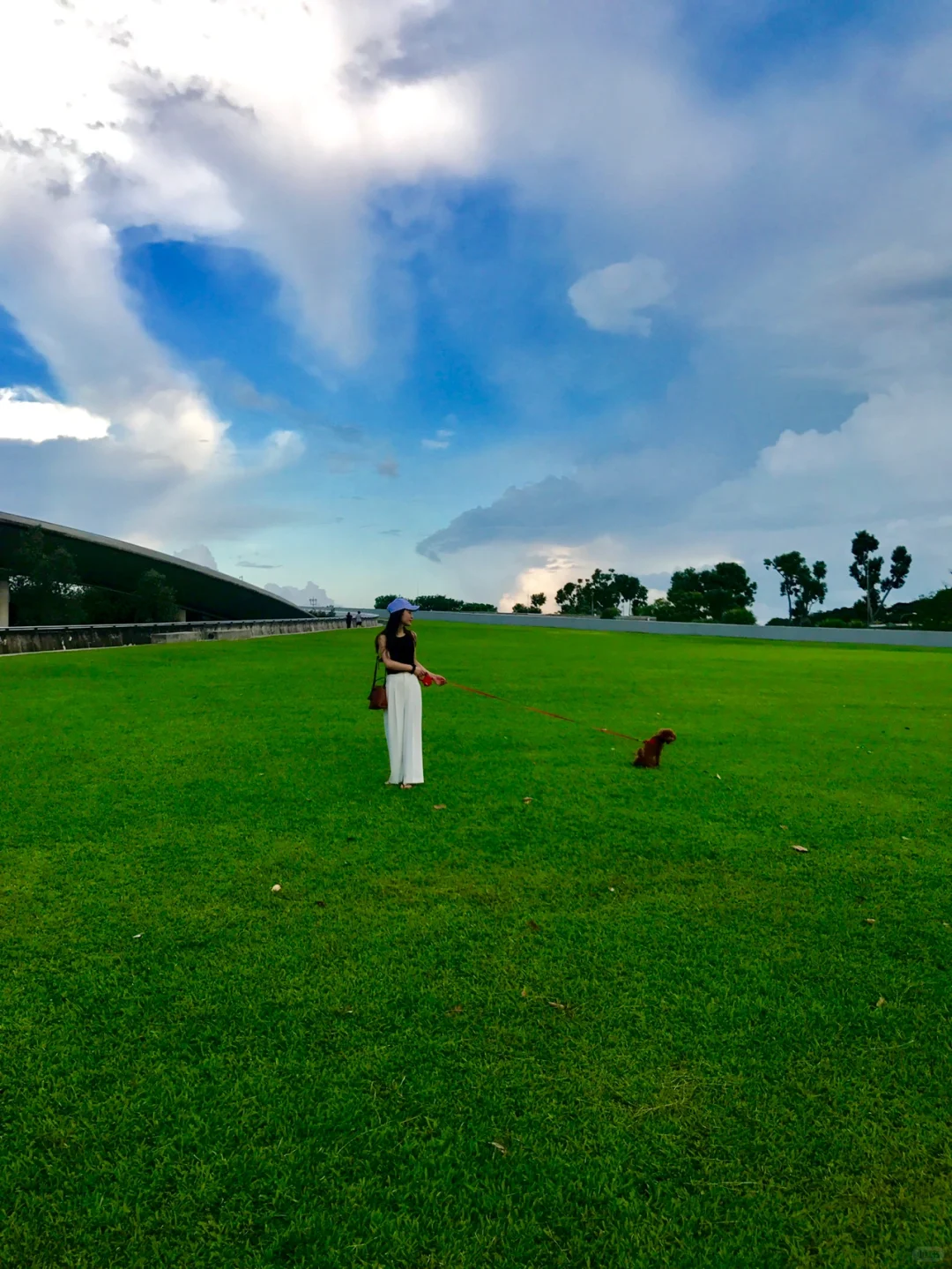 Singapore-The best walking route to see the Sands Ferris Wheel, Bay East Garden—Marina Barrage