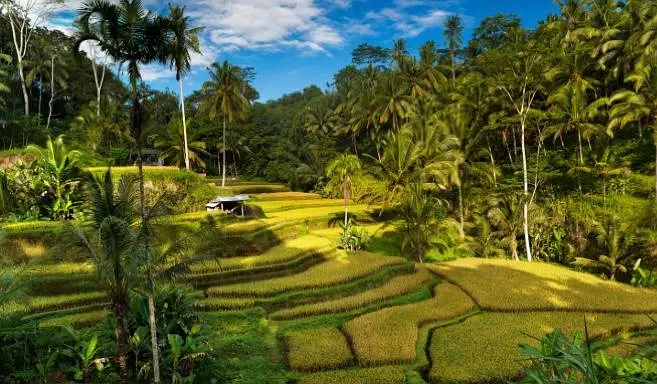 Bali-Arrange! One day to visit Bali's romantic attractions, a must-see for couples!