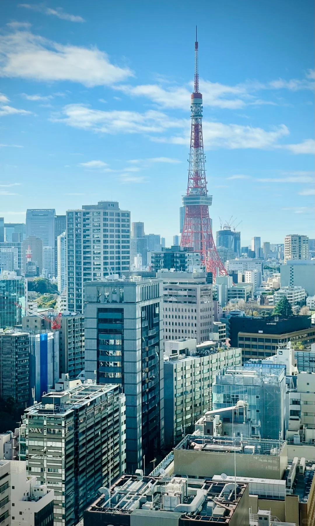 Tokyo-Hotel Toranomon Hills, Japan, with Tokyo Tower visible from the room
