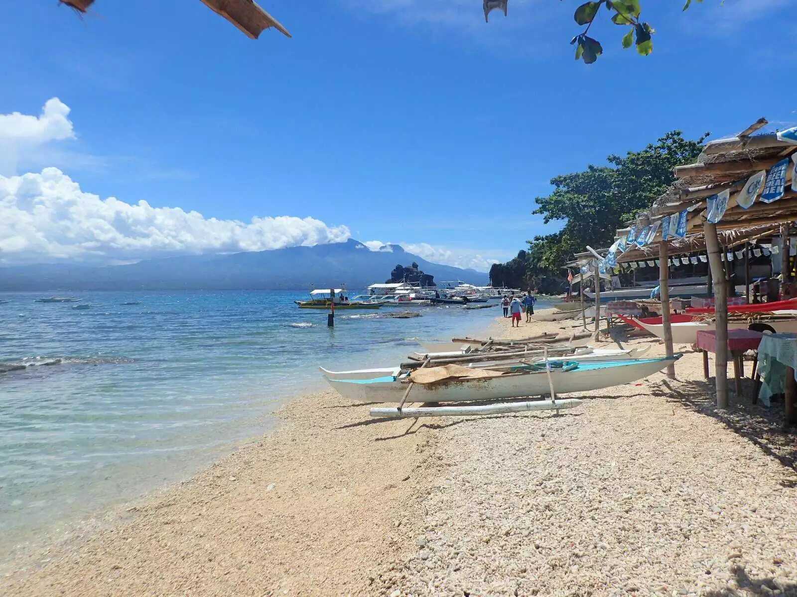 Manila/Luzon-Diving destinations: Free travel to Manila, Dumaguete, and Dauin, Philippines