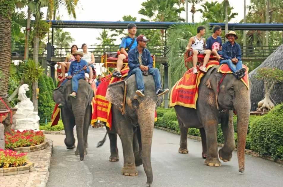 Pattaya-Pattaya's top three tourist attractions guide for 2024. Nong Nooch Tropical Garden, Koh Larn, Pattaya Beach