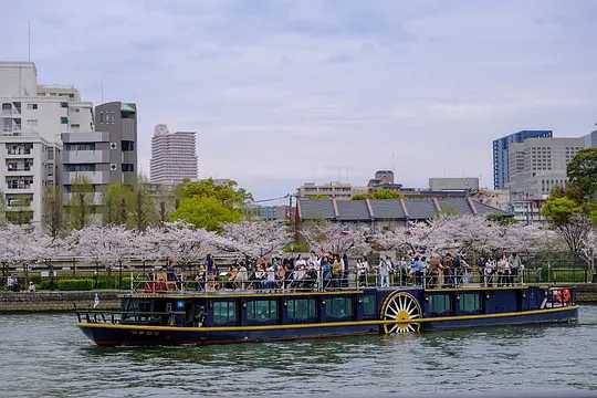 Osaka-Cherry blossom viewing season at Kema Sakuranomiya Park, Osaka, Japan