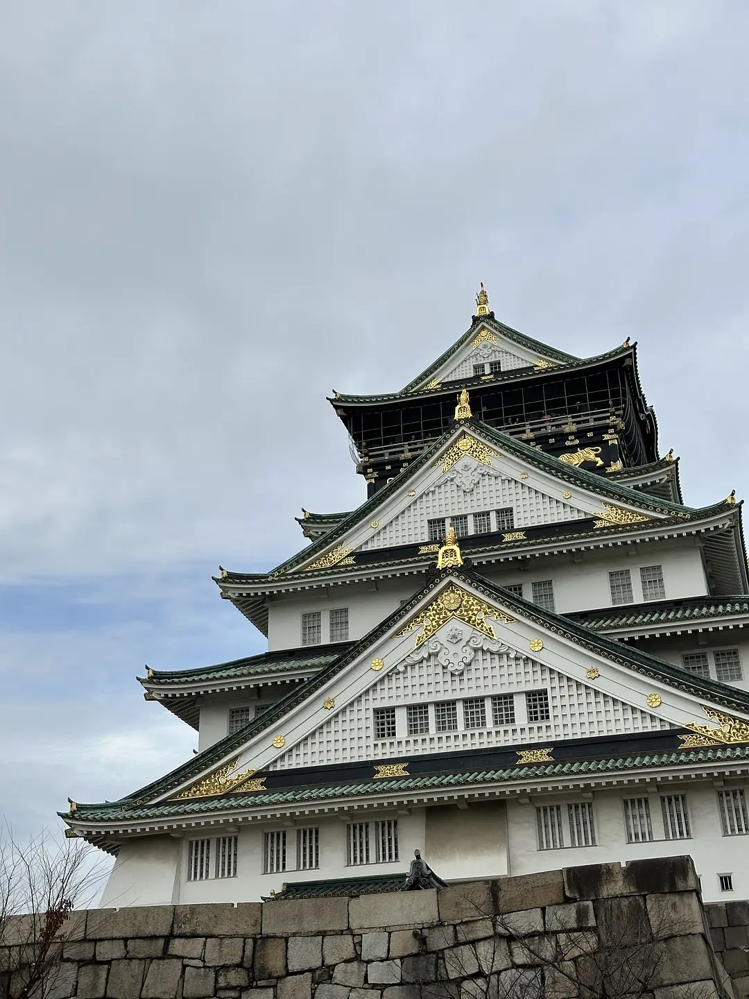 Osaka-10-Day Special Forces Tour in Japan: Tokyo + Osaka + Kyoto + Mount Fuji