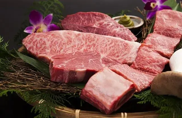 Osaka-Osaka Food & Where to Eat Japanese Wagyu Beef, This Article Tells You Everything