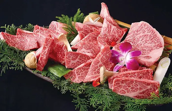 Osaka-Osaka Food & Where to Eat Japanese Wagyu Beef, This Article Tells You Everything