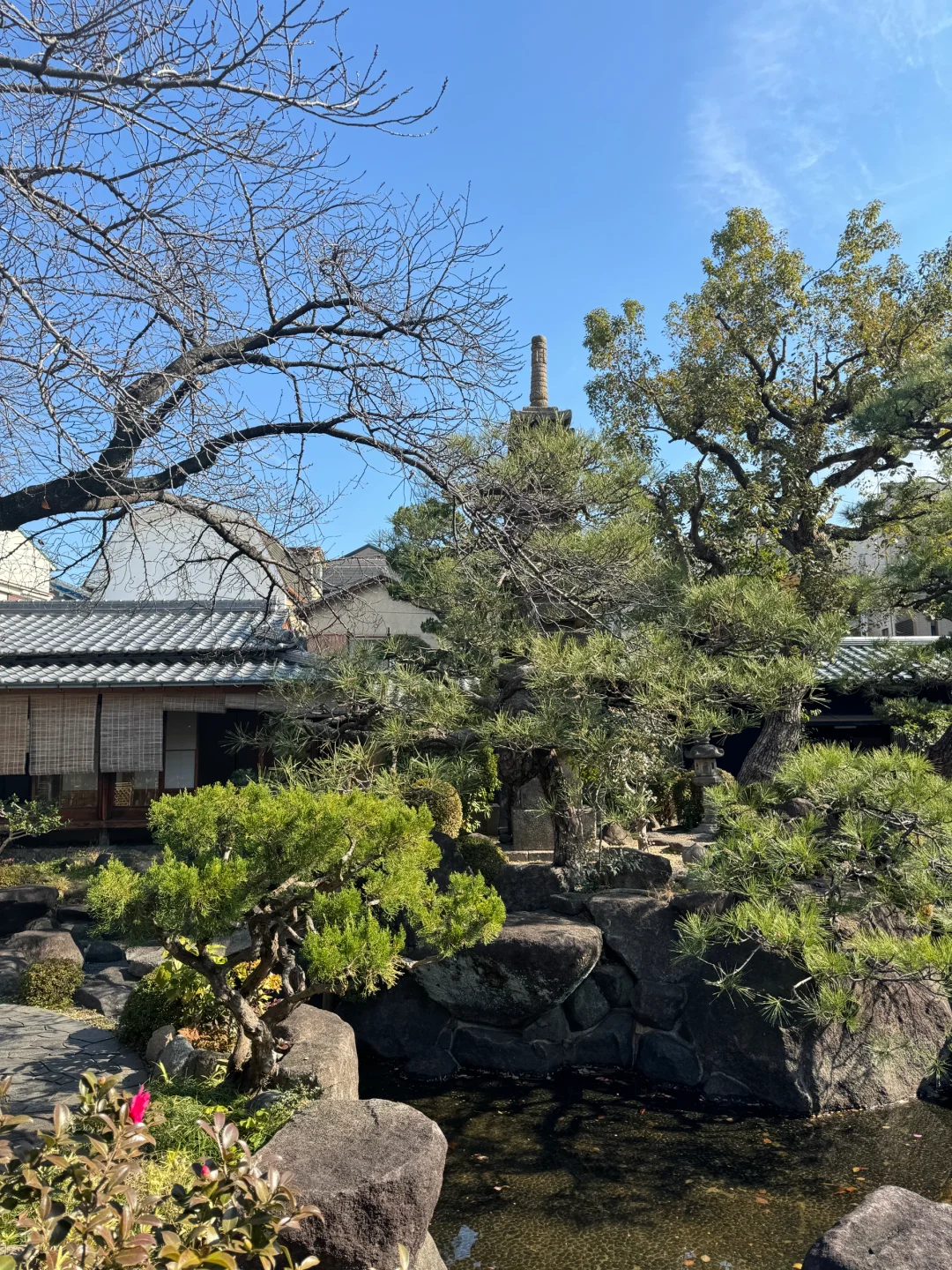 Osaka-Osaka Minshuku Hotel Carpe Diem, a paradise decorated in the style of Japanese houses