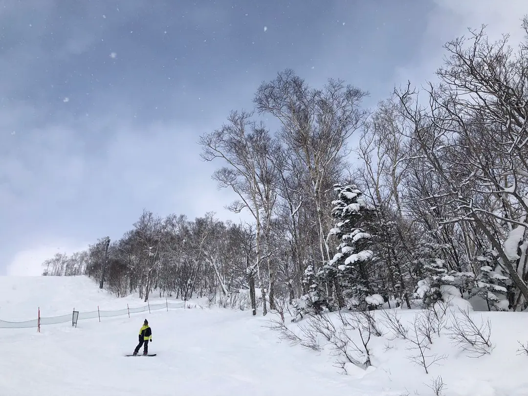 Sapporo/Hokkaido-First time skiing in Hokkaido? Here is the most complete guide