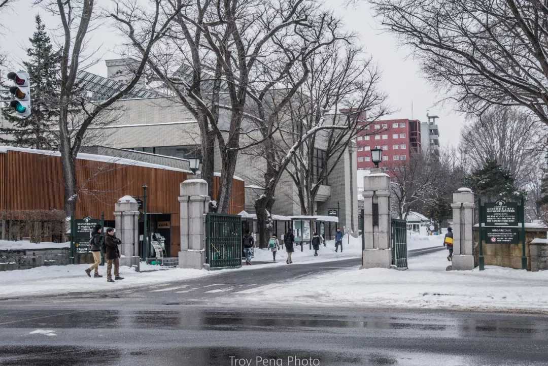 Sapporo/Hokkaido-White Lover-like Sapporo, Hokkaido, full of cherry blossoms and snow