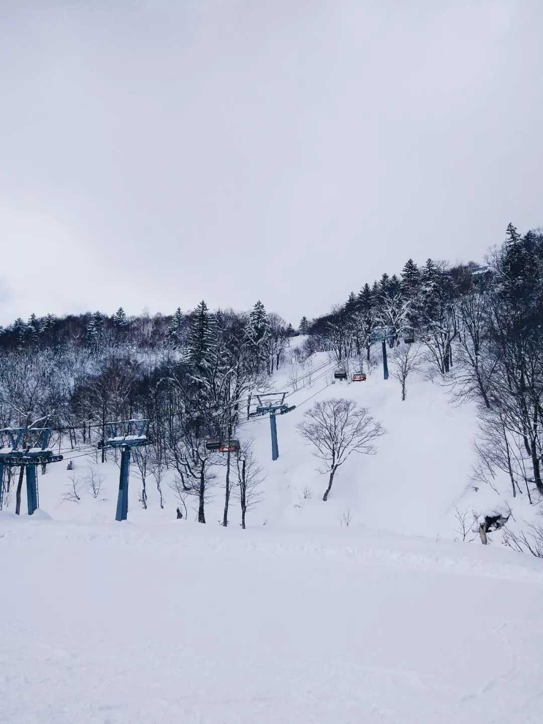 Sapporo/Hokkaido-White Lover-like Sapporo, Hokkaido, full of cherry blossoms and snow