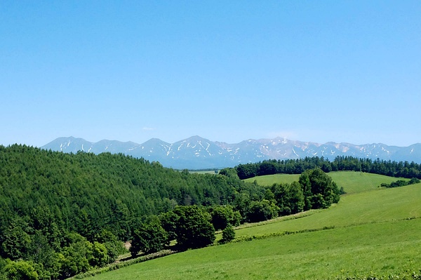 Sapporo/Hokkaido-Summer Field Flowers - A Complete Guide to Biei and Furano, Hokkaido