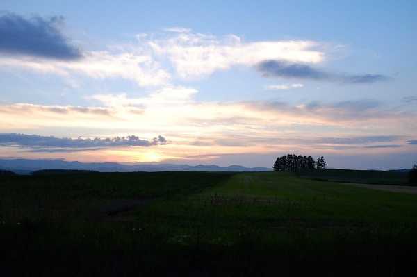 Sapporo/Hokkaido-Summer Field Flowers - A Complete Guide to Biei and Furano, Hokkaido