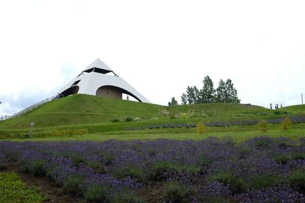 Sapporo/Hokkaido-Summer Field Flowers - A Complete Guide to Biei and Furano, Hokkaido