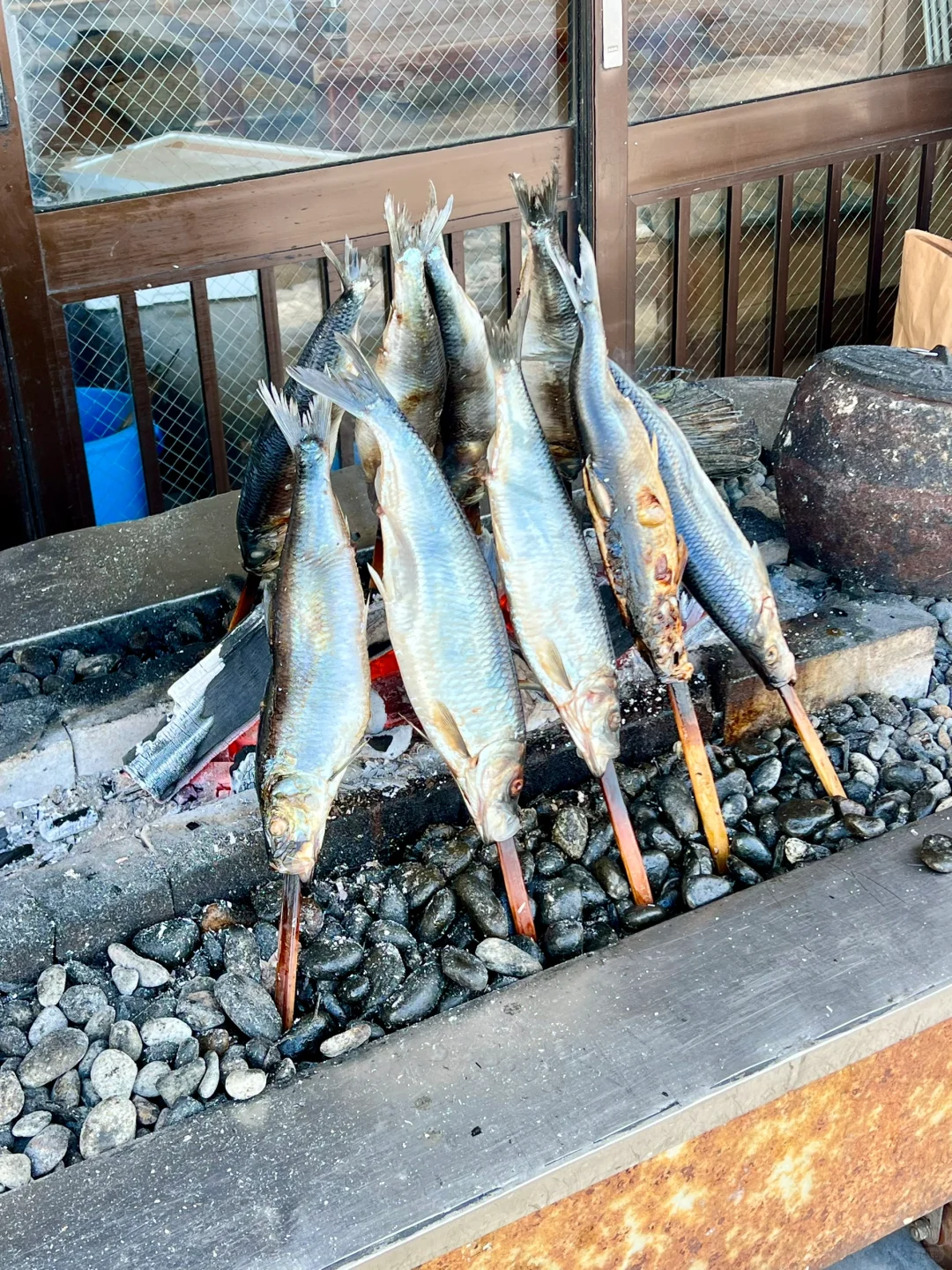 Sapporo/Hokkaido-Aotsuka Shokudo(青塚食堂)😍🤤, seafood restaurant on the seaside of Hokkaido is very delicious