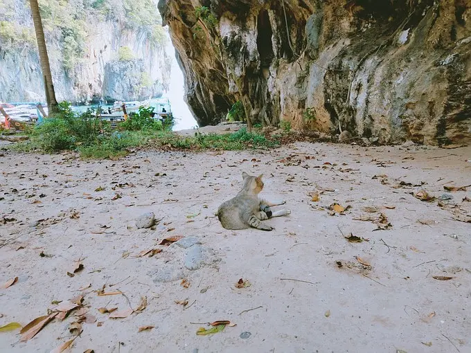 Krabi-Eat, drink and lie down in Krabi, put on a flowery dress and look at the mountains and the sea