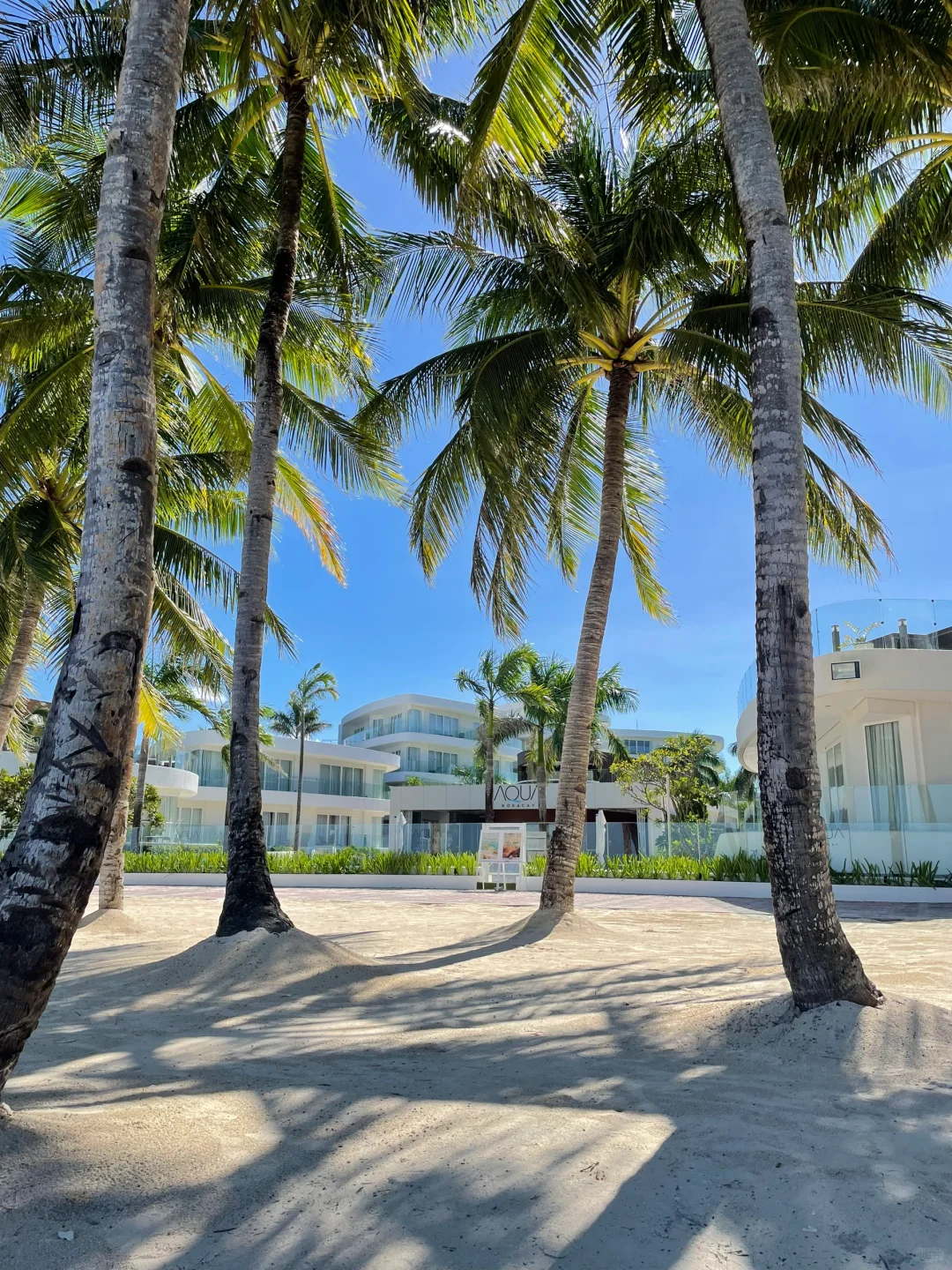 Boracay-Boracay Aqua Hotel recommended, huge swimming pool and atmospheric bar