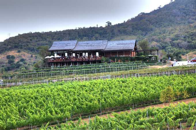 HuaHin-Hua Hin Hills Vineyard, the air with a slight aroma of wine