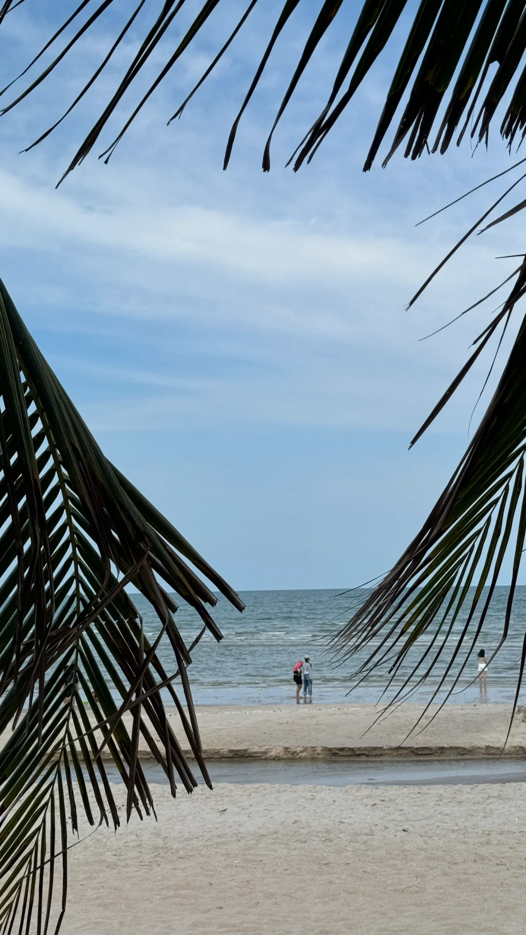 HuaHin-Little Sea Cafe in Hua Hin, Thailand｜Resort-style seaside forest