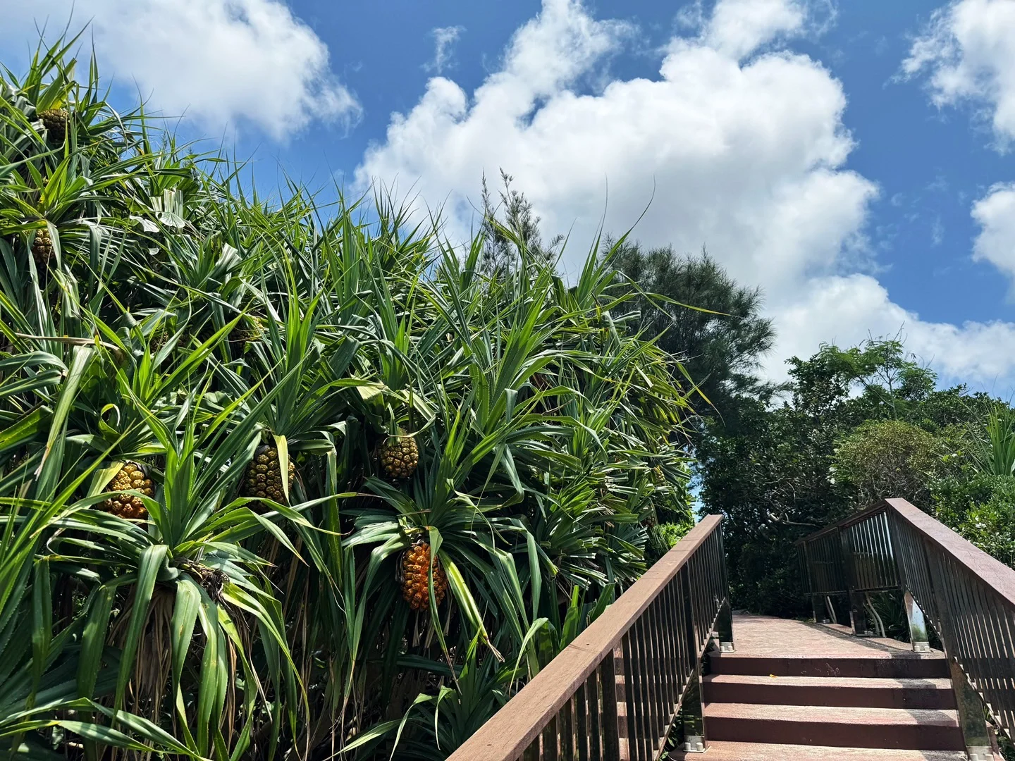 Okinawa-ANA InterContinental Hotel, Onna Village, Okinawa, is so beautiful