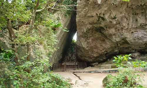 Okinawa-Seiza Utaki: Experience the prayer culture in the primeval forest of Okinawa