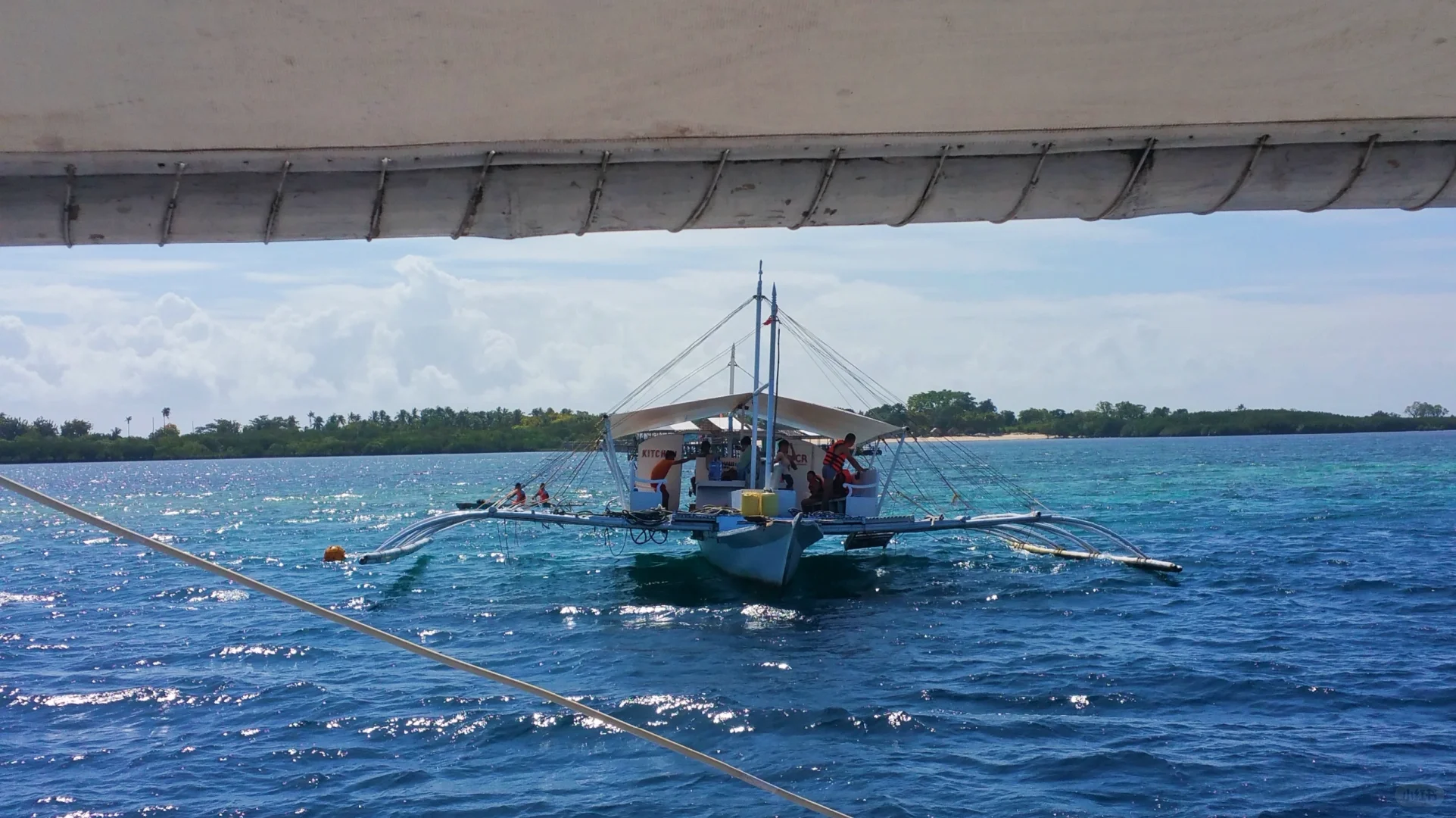 Cebu-Cebu: Watching dancing whale sharks and narrowly escaping an earthquake