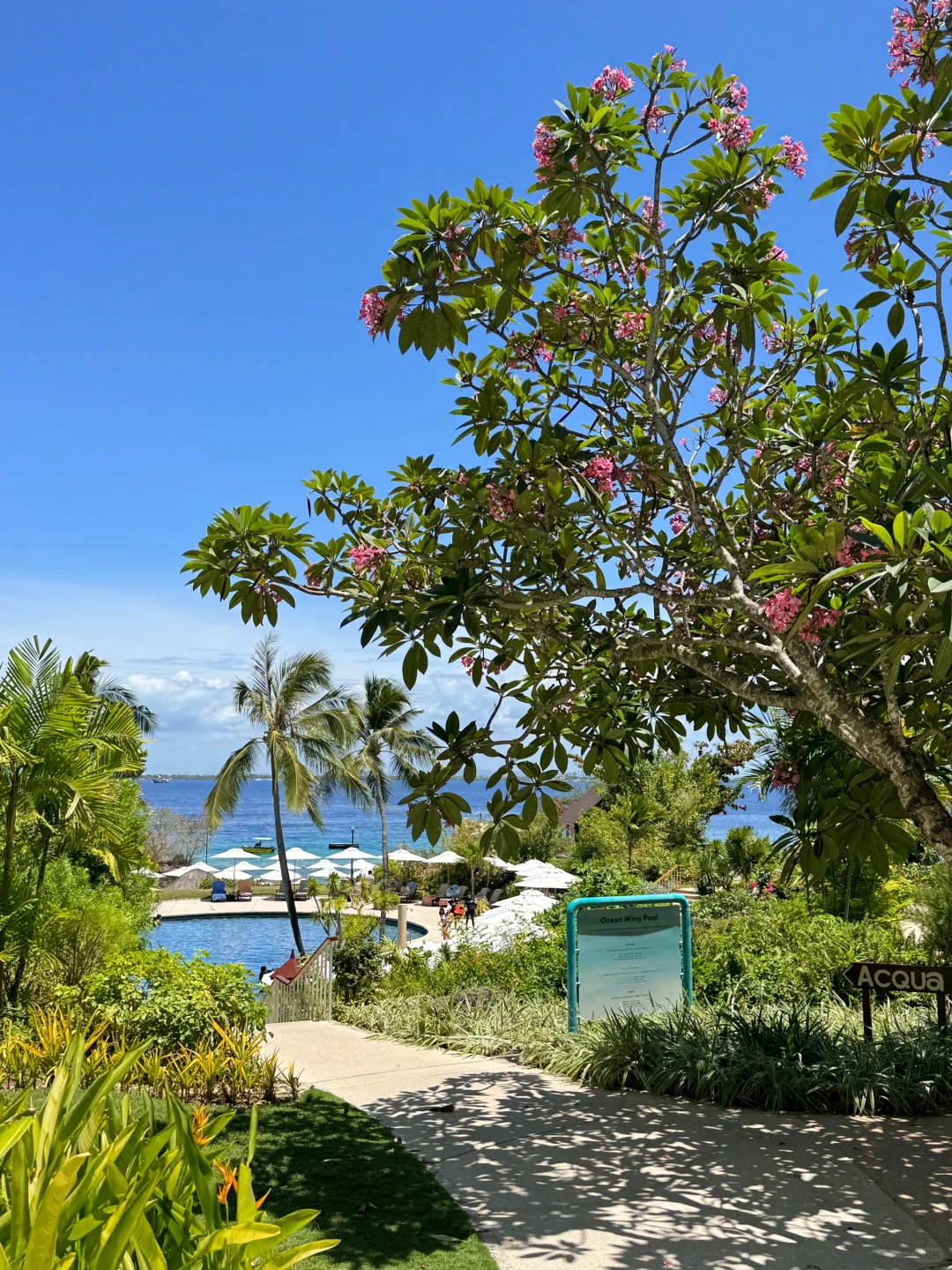 Cebu-Experience Shangri-La Hotel Mactan Island Cebu Philippines