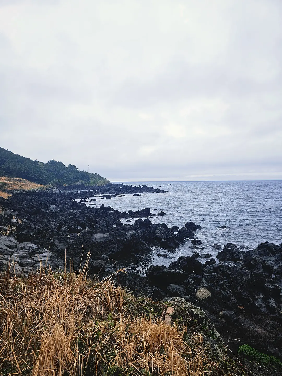 Busan/Jeju-Come to Jeju Island to see the crystal clear sea during the holidays