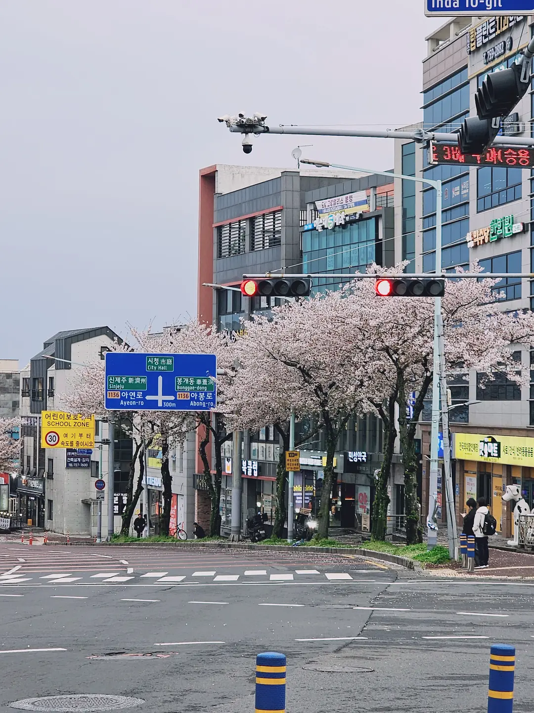 Busan/Jeju-Come to Jeju Island to see the crystal clear sea during the holidays