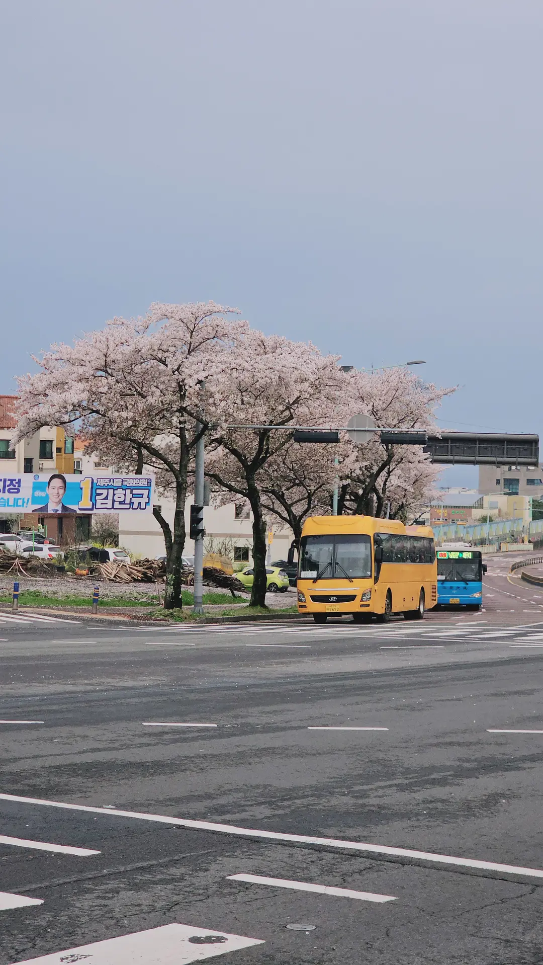 Busan/Jeju-Come to Jeju Island to see the crystal clear sea during the holidays