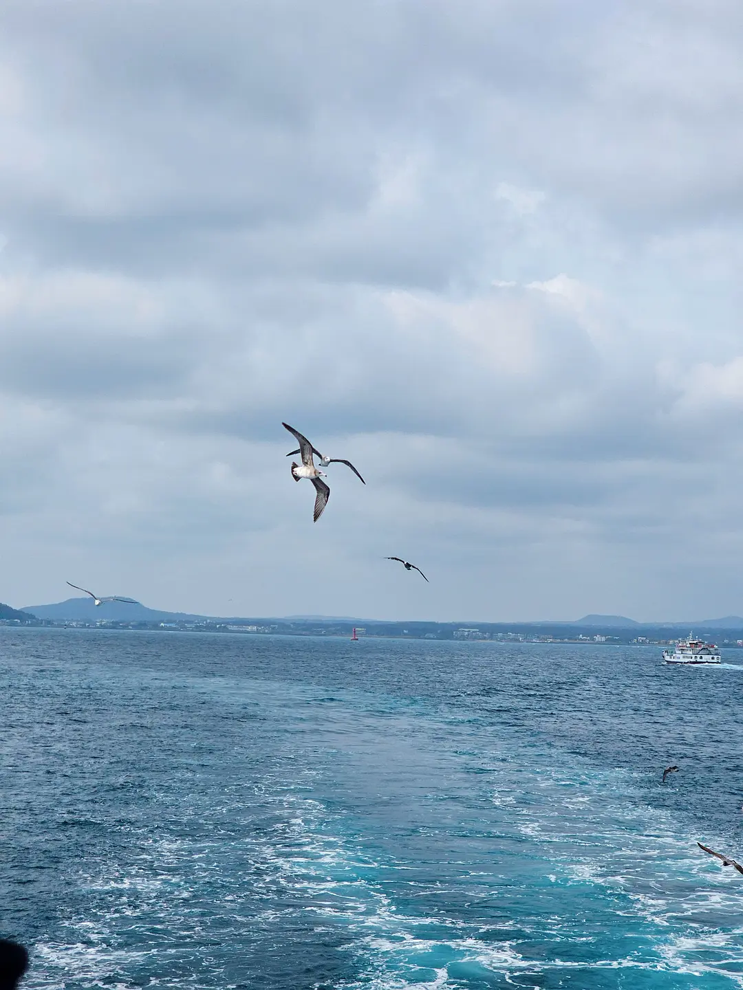 Busan/Jeju-Come to Jeju Island to see the crystal clear sea during the holidays