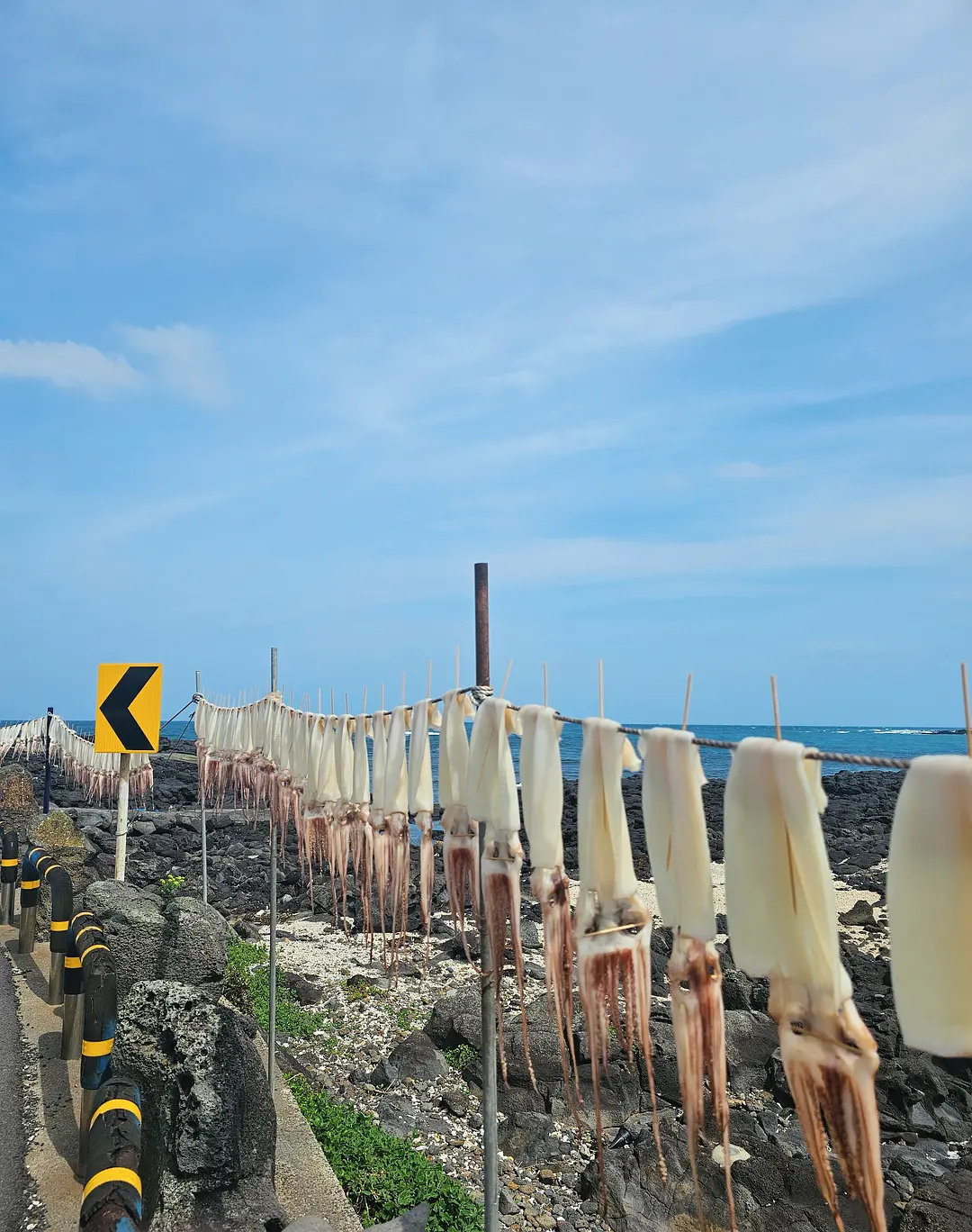 Busan/Jeju-Come to Jeju Island to see the crystal clear sea during the holidays