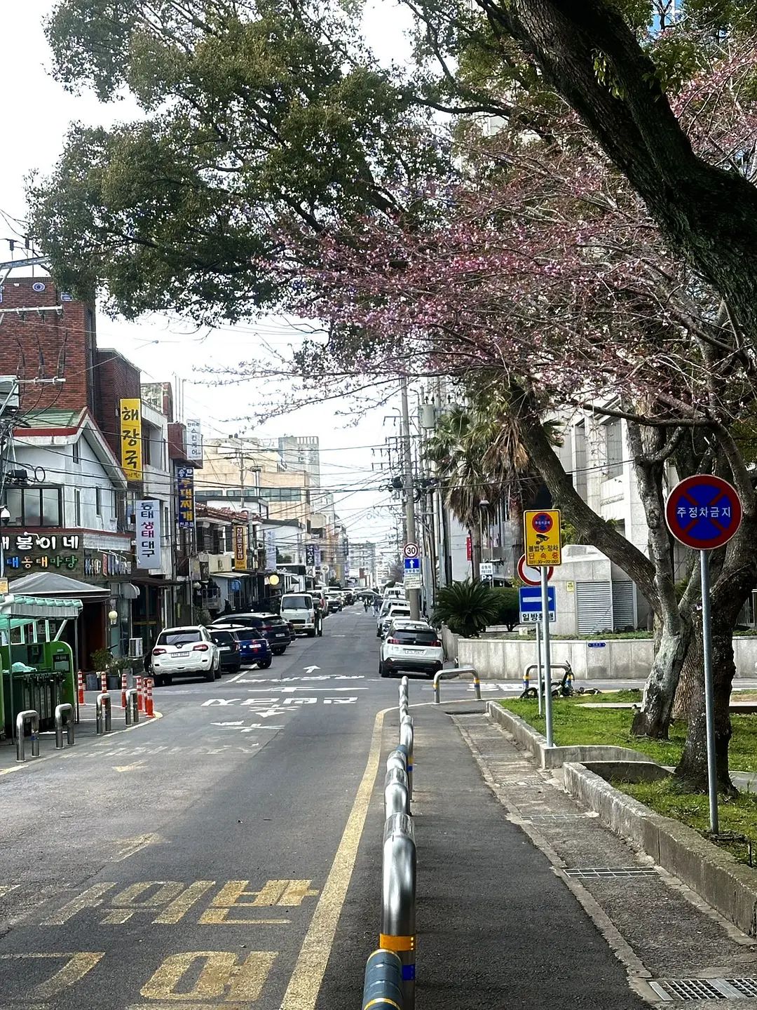 Busan/Jeju-Traveling alone to Jeju Island during the rainy season, I felt like a piece of meat that was repeatedly thawed