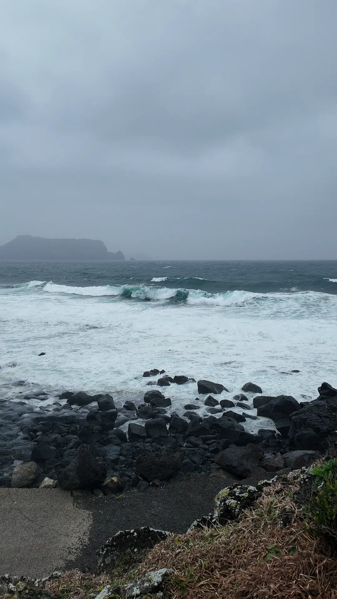 Busan/Jeju-Traveling alone to Jeju Island during the rainy season, I felt like a piece of meat that was repeatedly thawed