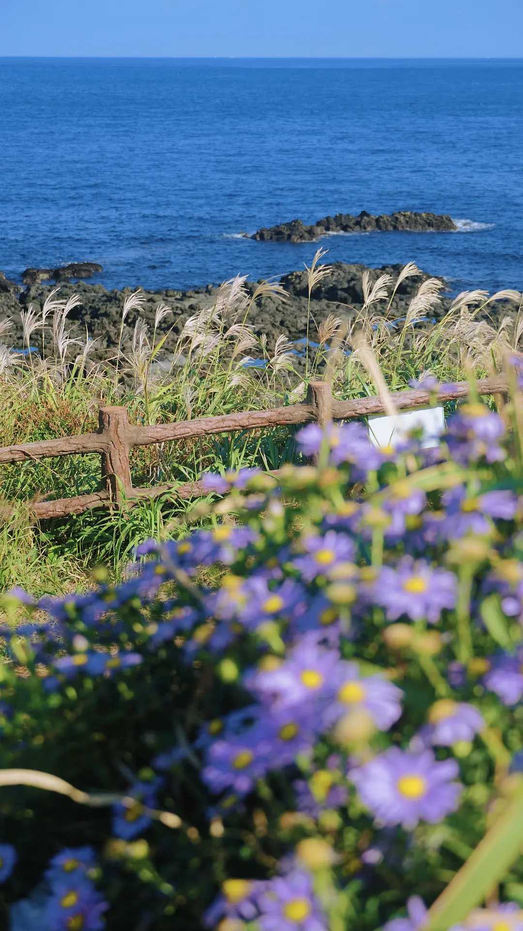 Busan/Jeju-Come with me to Jeju Island to see the sea. The blue of the sea is very soothing.