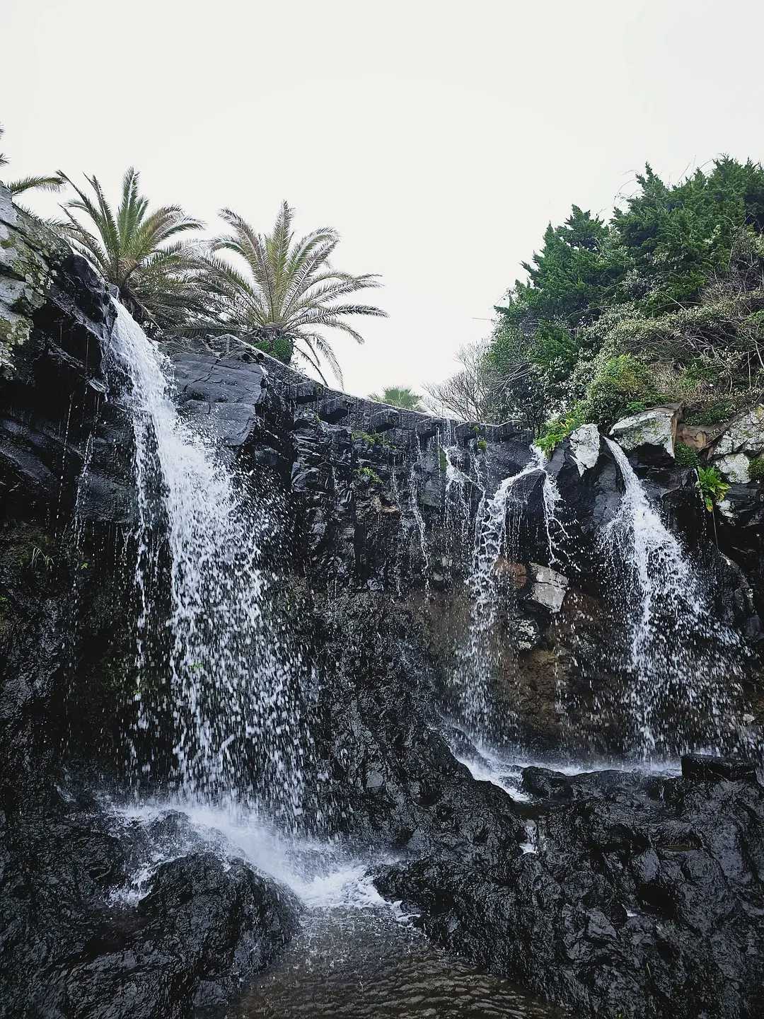 Busan/Jeju-Come to Jeju Island to see the crystal clear sea during the holidays