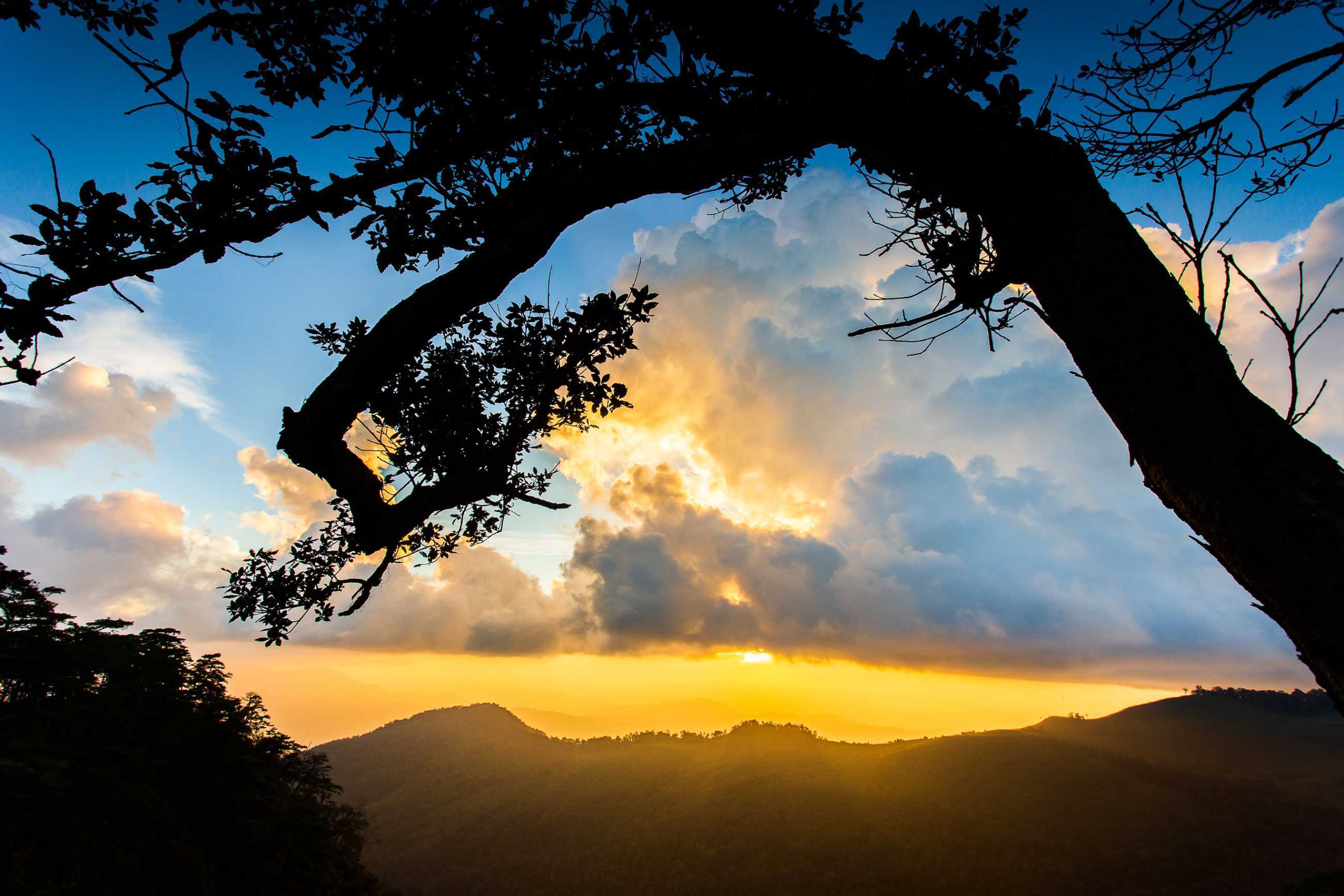 Bangkok-Phu Soi Da National Park. 🏝️Beautiful natural tourist destination and fresh air