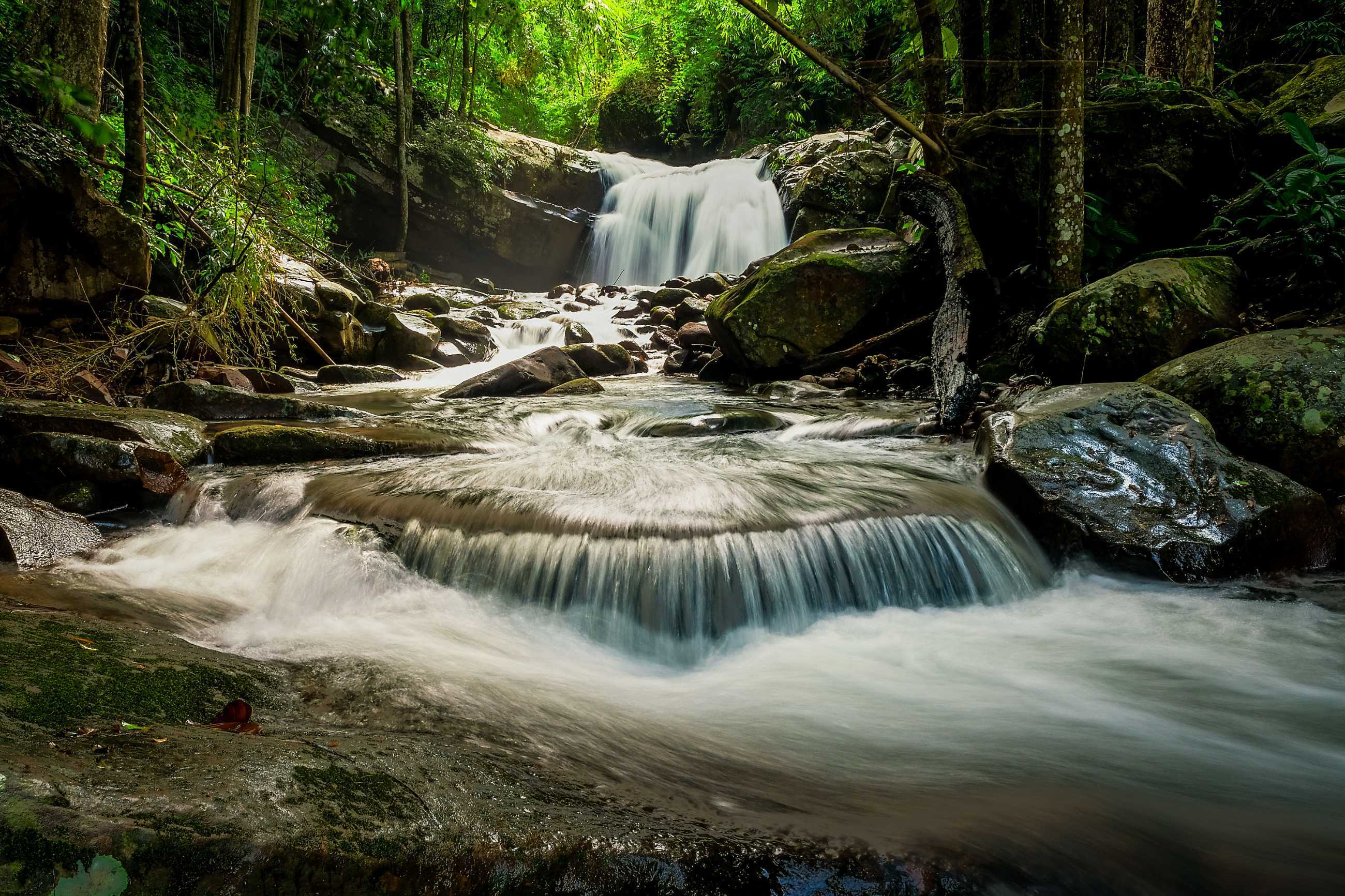 Bangkok-Phu Soi Da National Park. 🏝️Beautiful natural tourist destination and fresh air