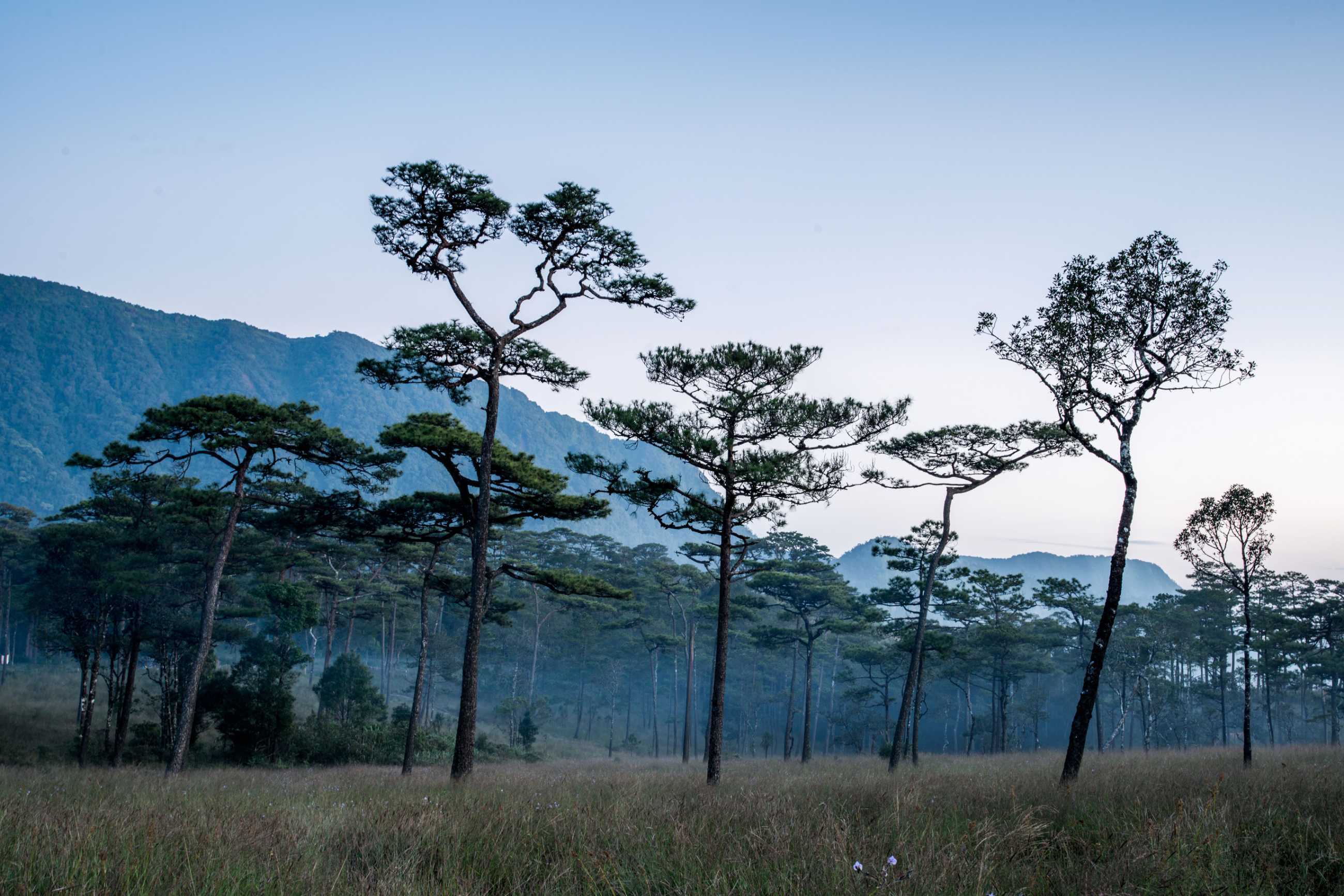 Bangkok-Phu Soi Da National Park. 🏝️Beautiful natural tourist destination and fresh air