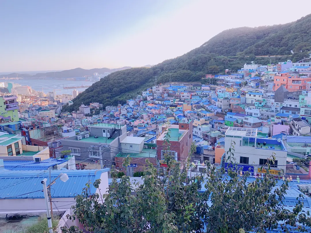 Busan/Jeju-If you don’t do your research and don’t buy anything, you can have fun in Busan.
