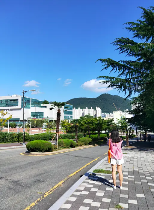 Busan/Jeju-If you don’t do your research and don’t buy anything, you can have fun in Busan.