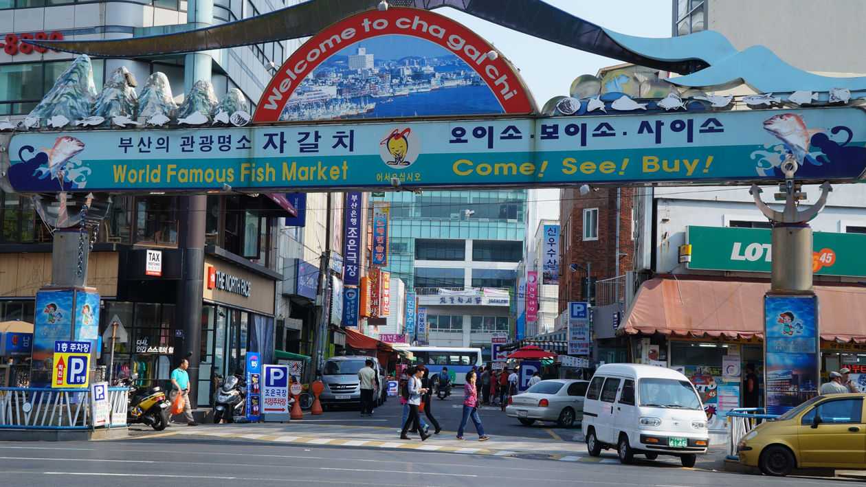 Busan/Jeju-Busan travel guide and charter service, 5 major attractions recommended